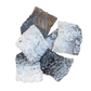 Salmon Bark